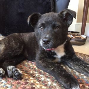 Meet your Posher, Amy